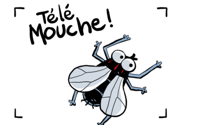 Comment accéder au logement quand on est « sans-papiers » à Marseille ?