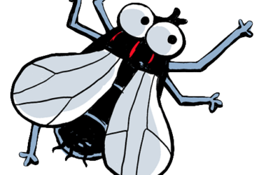 Le détail qui fait mouche