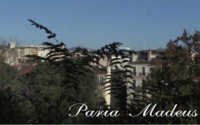 INTERLUDE : CLIP Papillon – Paria Madeus