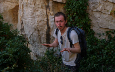 Sur la piste des élans