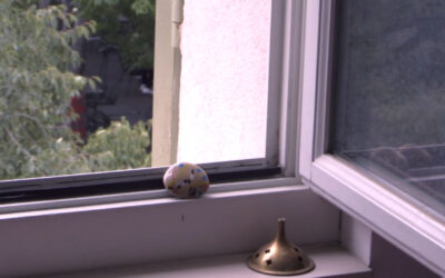 Chronique d’un caillou