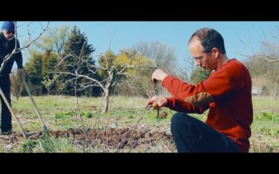 Ensemble, ici et maintenant // Step Aside Project