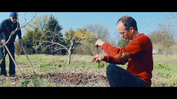 Ensemble, ici et maintenant // Step Aside Project