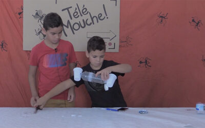 Fabriquer une baffle