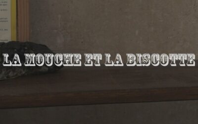Court fiction : La mouche et la biscotte