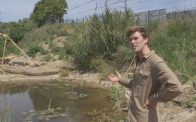 Le Talus, la ferme urbaine participative (épisode 2)