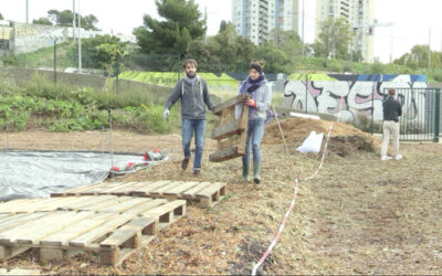 Le Talus, la ferme urbaine participative (épisode 1)