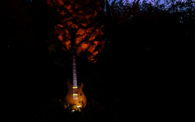 Chronique d’une guitare