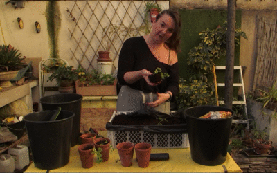 L’INGÉNIUS : Fabriquer une jardinière punk