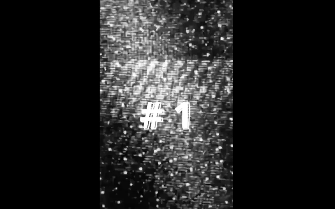 Le Zapping de Télé Mouche #1